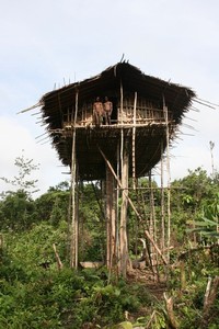 Kmen Korowai Dalam – Papua Nová Guinea 2009