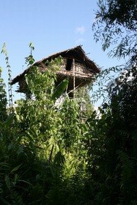 Kmen Korowai Dalam – Papua Nová Guinea 2009