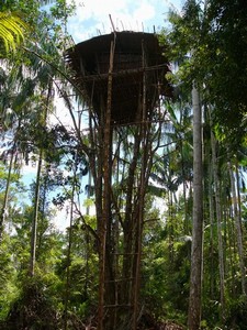 Kmen Korowai Dalam – Papua Nová Guinea 2009