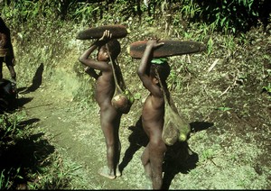 Papua Yali