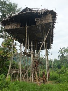 Papua-Kombai-tree people tribe